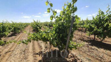 noticias castilla-la mancha