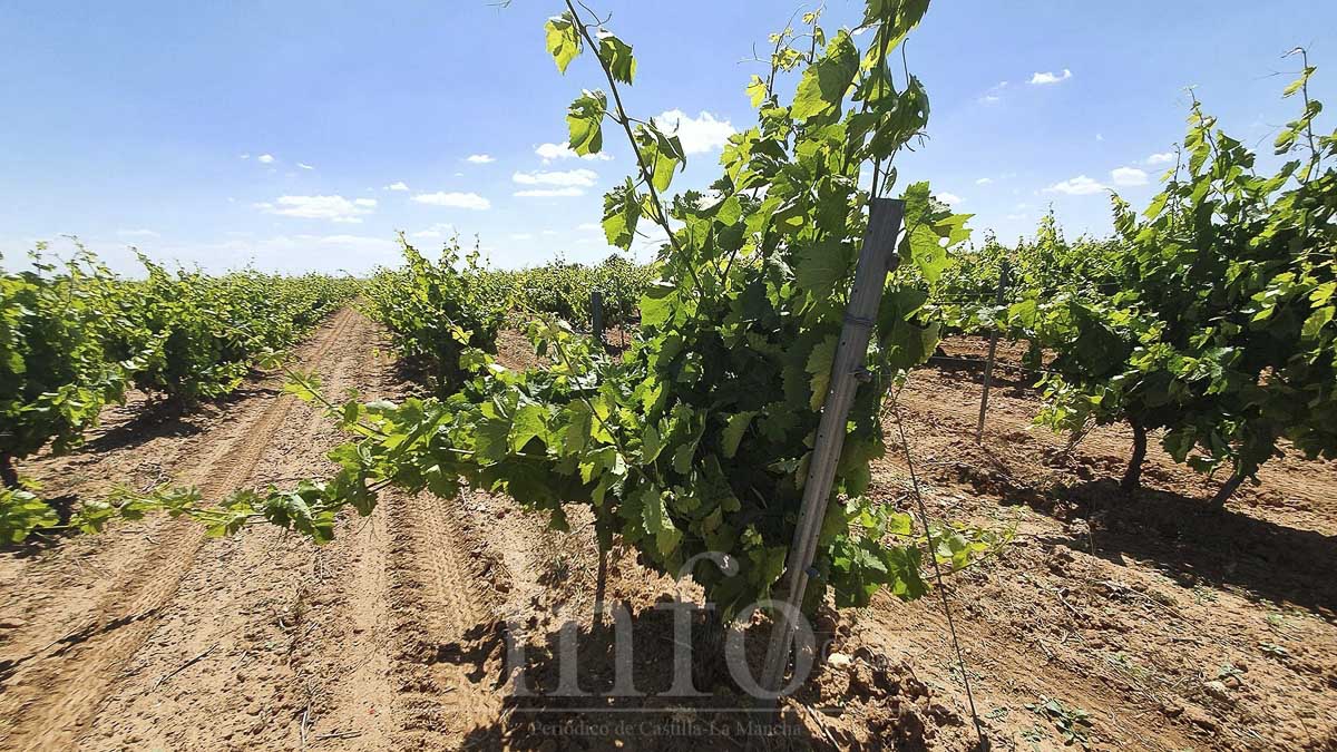 noticias castilla-la mancha