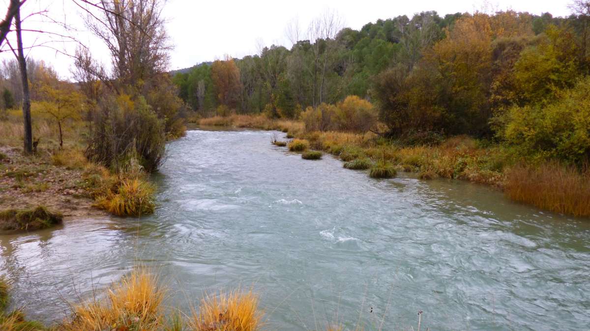 noticias castilla-la mancha