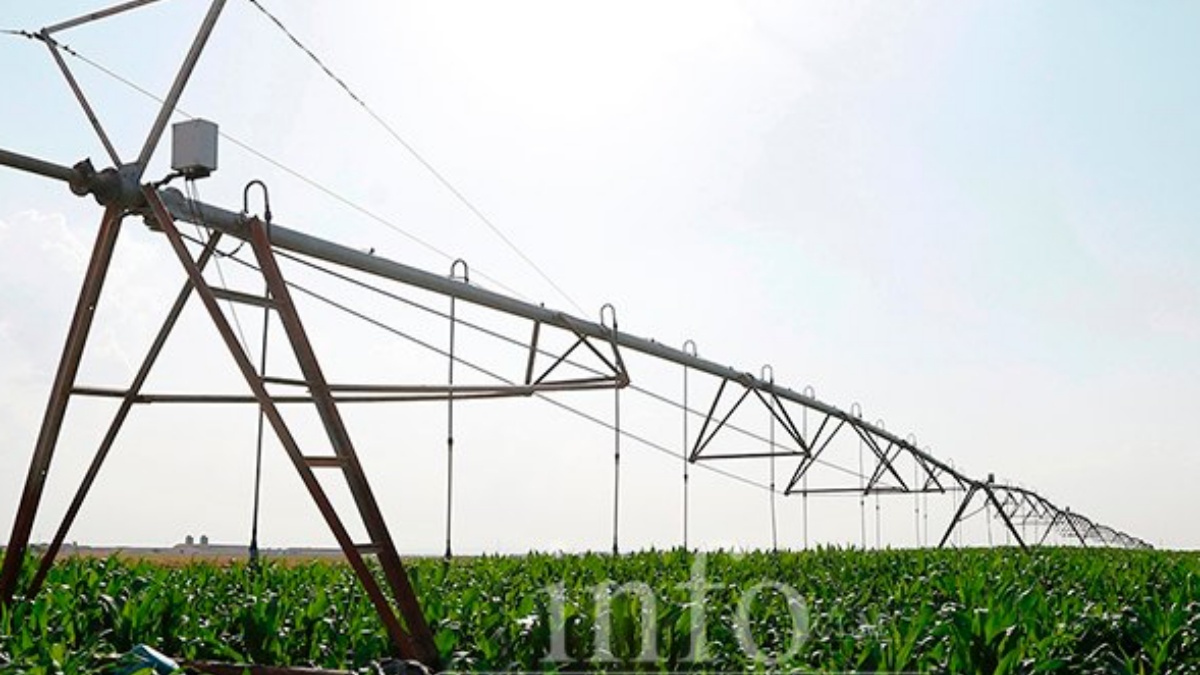 noticias campo