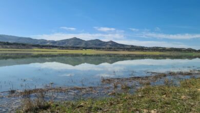 Noticias castilla-la mancha