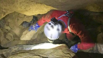 Noticias provincia albacete