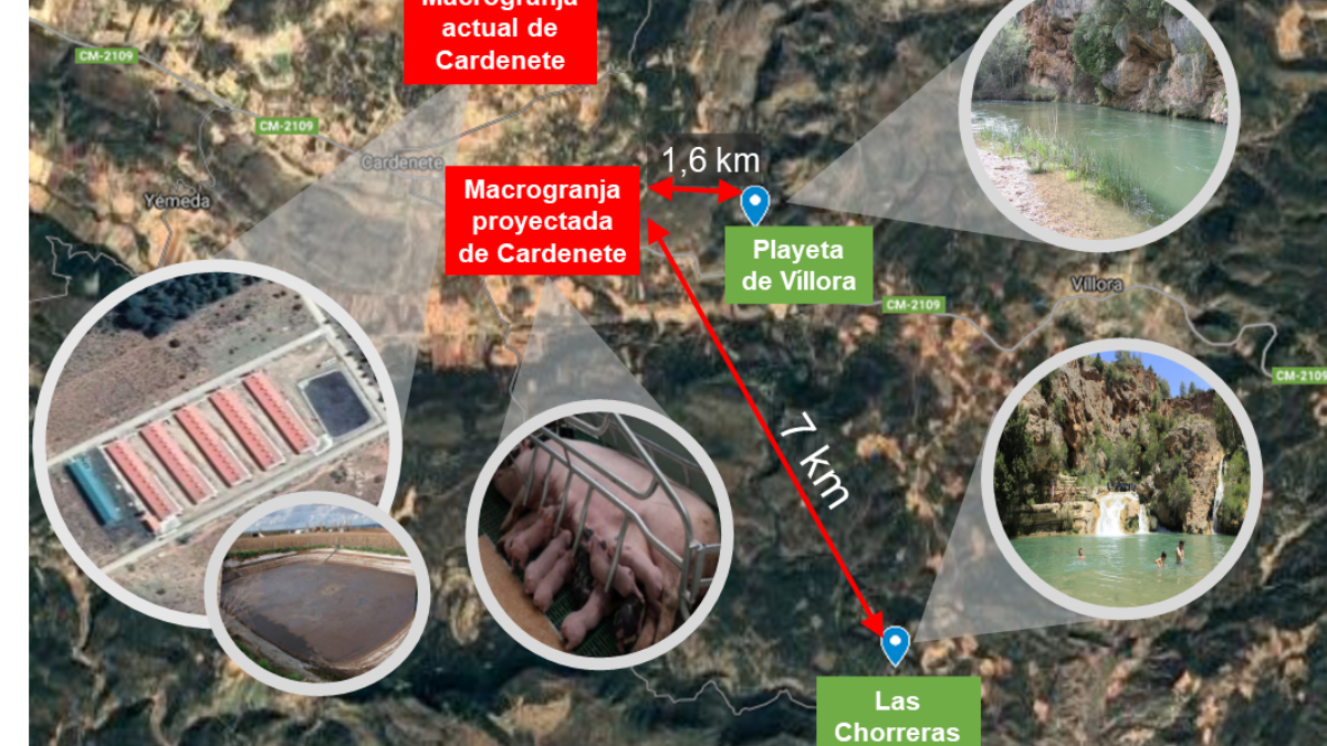 noticias cuenca