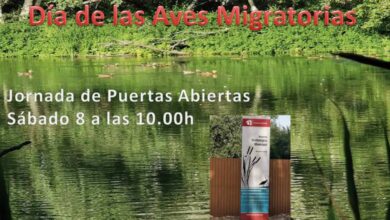 noticias azuqueca
