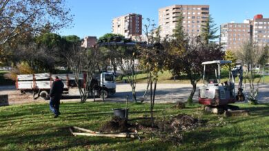 noticias talavera