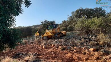 noticias provincia ciudad real