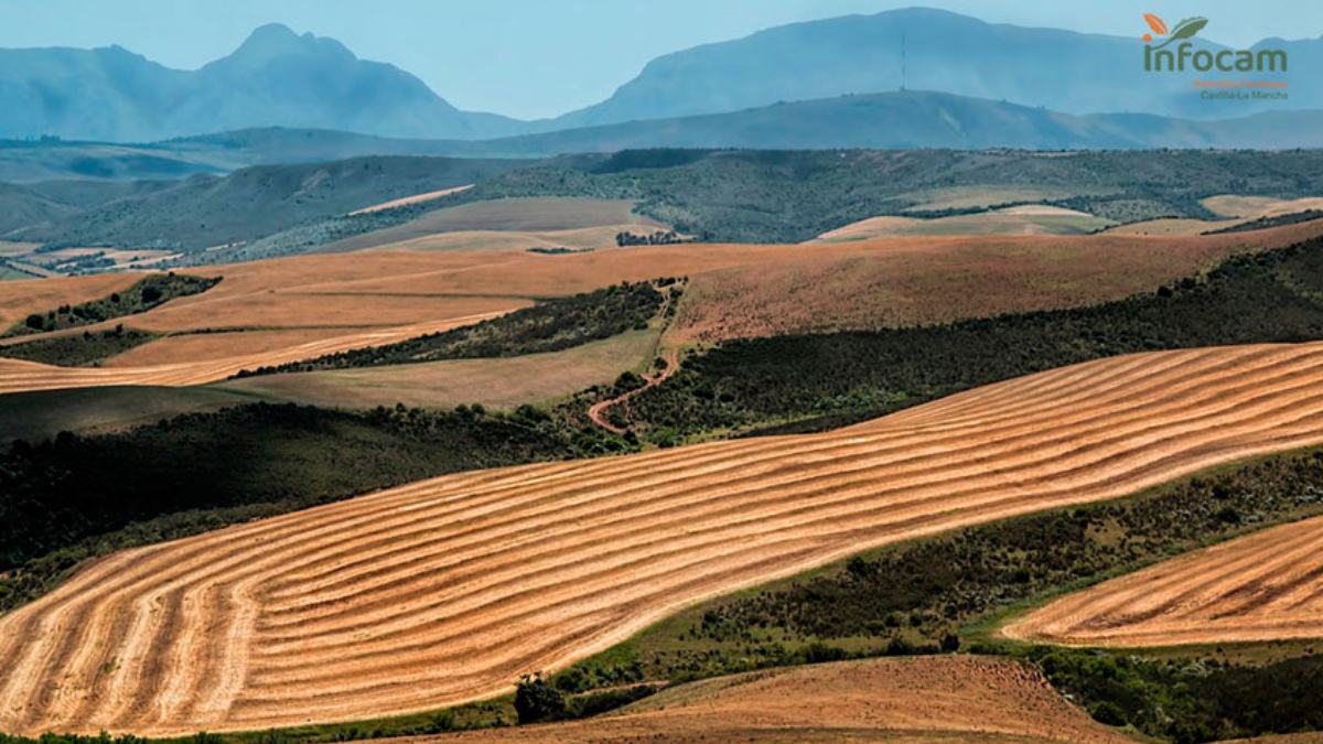 noticias castilla-la mancha