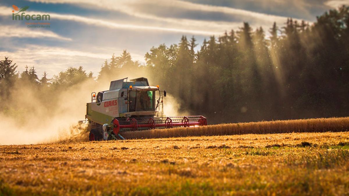 noticias castilla-la mancha