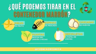 Noticias cuenca