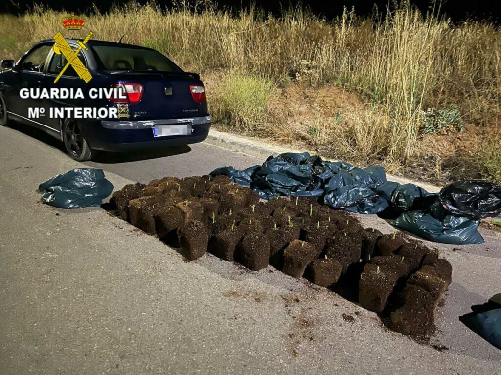 castilla la mancha guardia civil detenidos