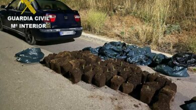 castilla la mancha guardia civil detenidos