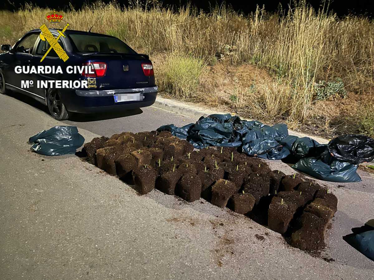 castilla la mancha guardia civil detenidos