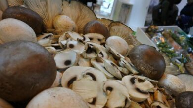 Noticias castilla-la mancha