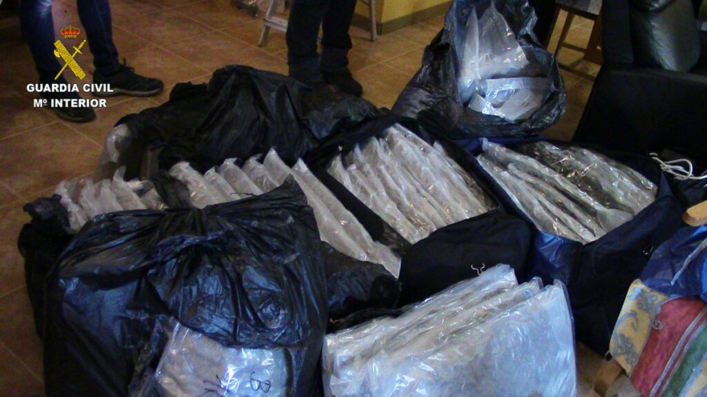 La Guardia Civil interviene 6.000 plantas de marihuana la mayor cantidad en una misma operación en la provincia de Toledo
