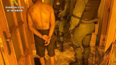 La Guardia Civil interviene 6.000 plantas de marihuana la mayor cantidad en una misma operación en la provincia de Toledo