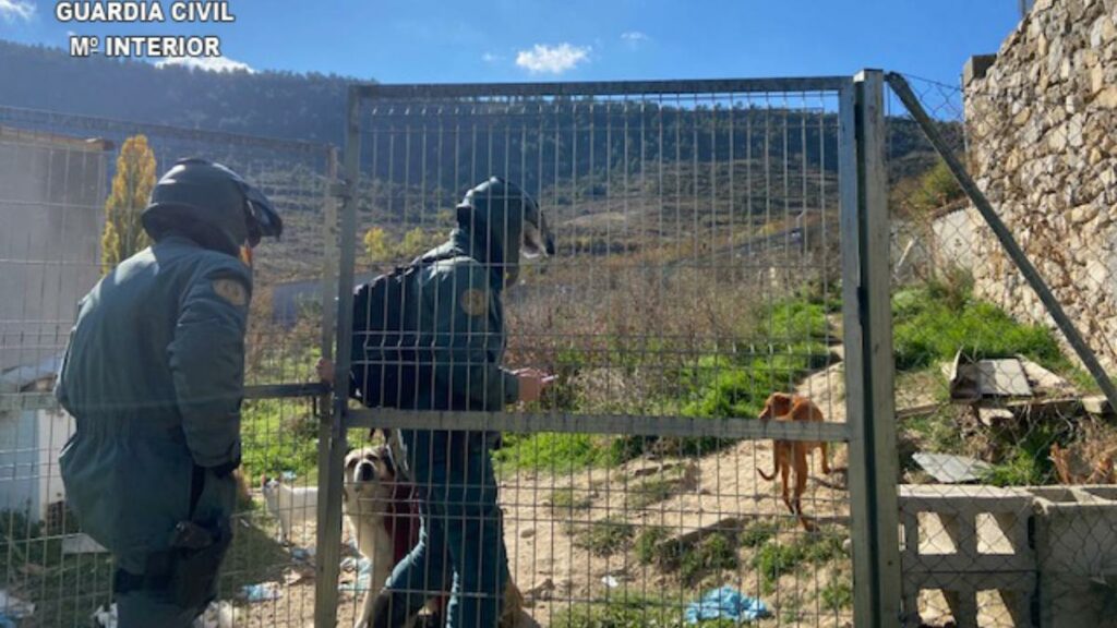 perros guardia civil guadalajara