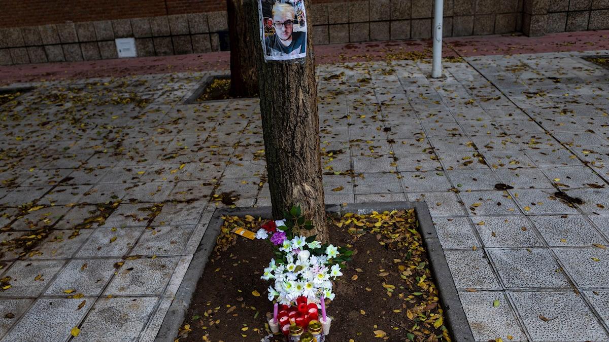 Asesinato Toledo
