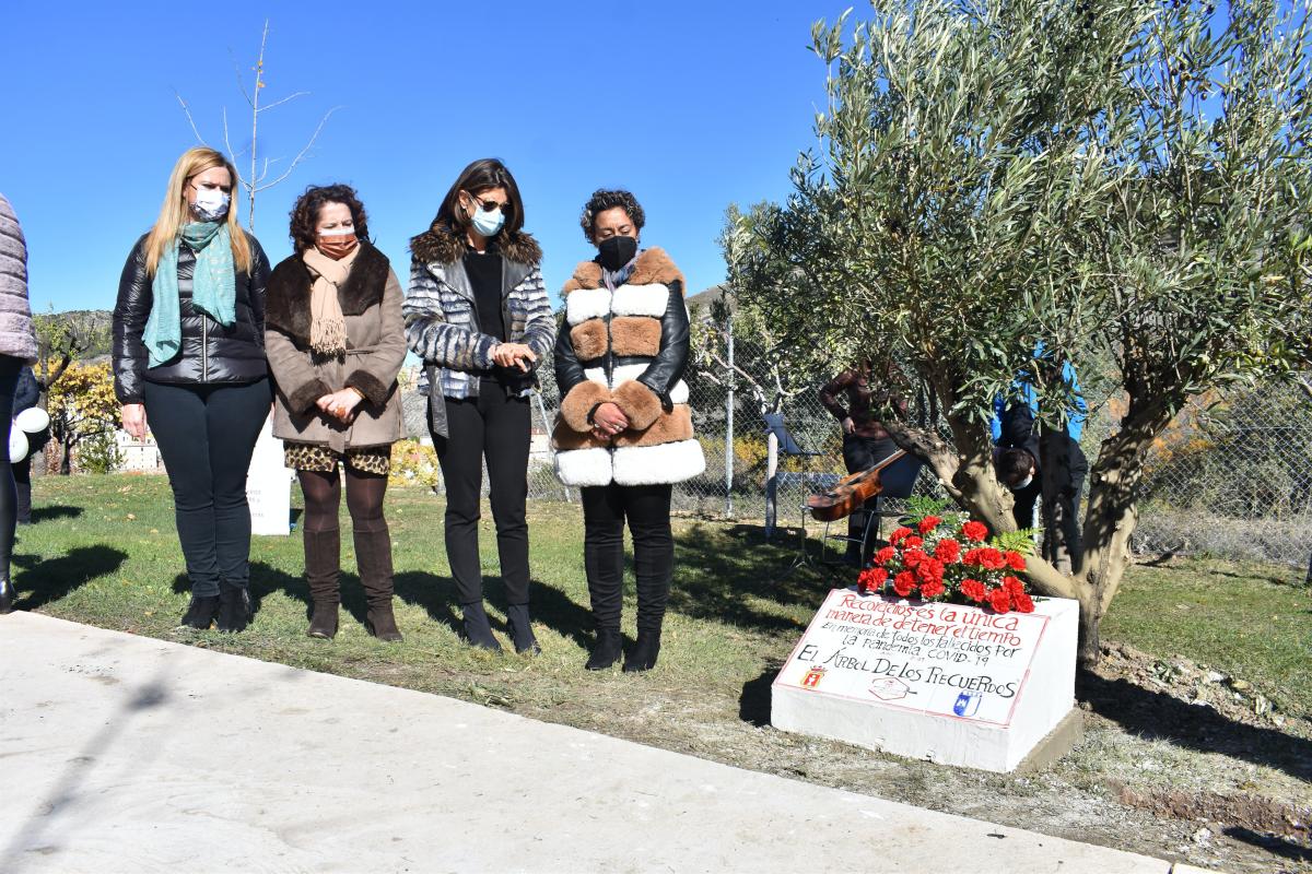 Una placa y un olivo en el Museo de Palentología de Cuenca recuerdan a las víctimas de COVID-19 en C-LM