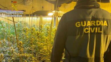 La Guardia Civil desmantela dos plantaciones de marihuana en viviendas de Toledo