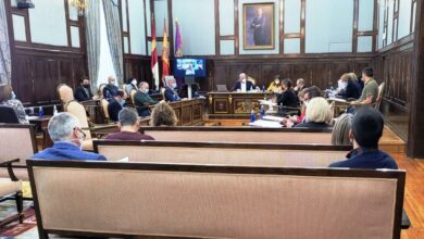 Pleno Diputación Guadalajara aprobación presupuesto