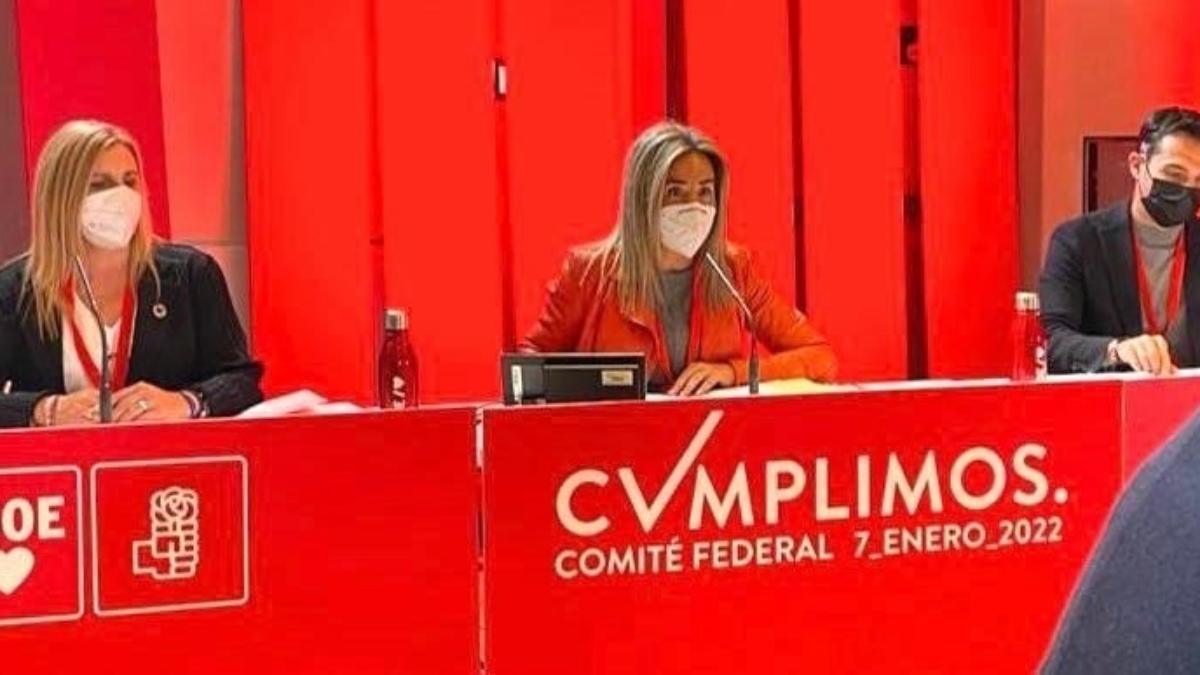 Milagros Tolón, elegida presidenta del Comité Federal del PSOE / PSOE