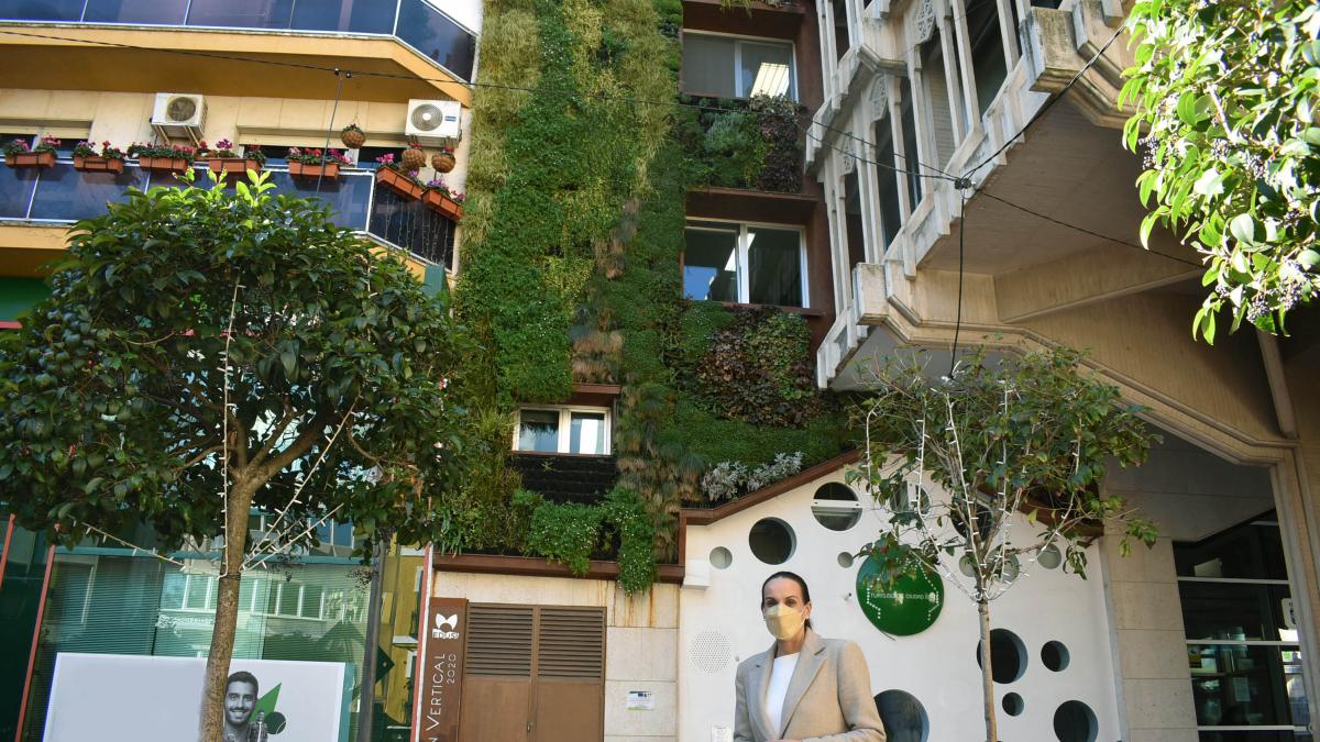 Jardín vertical Ciudad Real