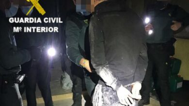 La Guardia Civil de Toledo detiene a una persona por cultivar 1.200 plantas de marihuana