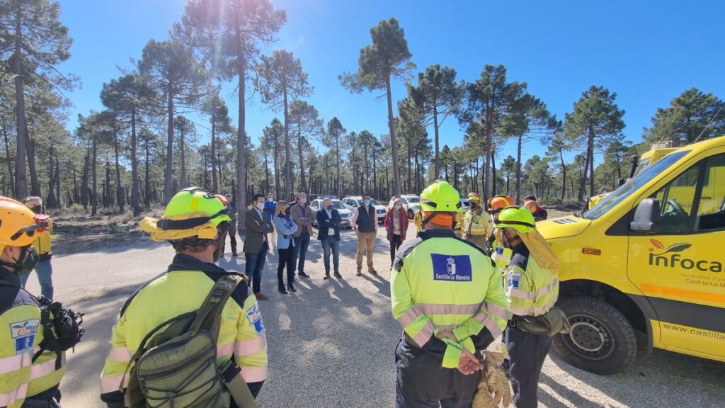 Ayudas para la realización de tratamientos selvícolas en las zonas forestales de Albacete / Imagen: JCCM