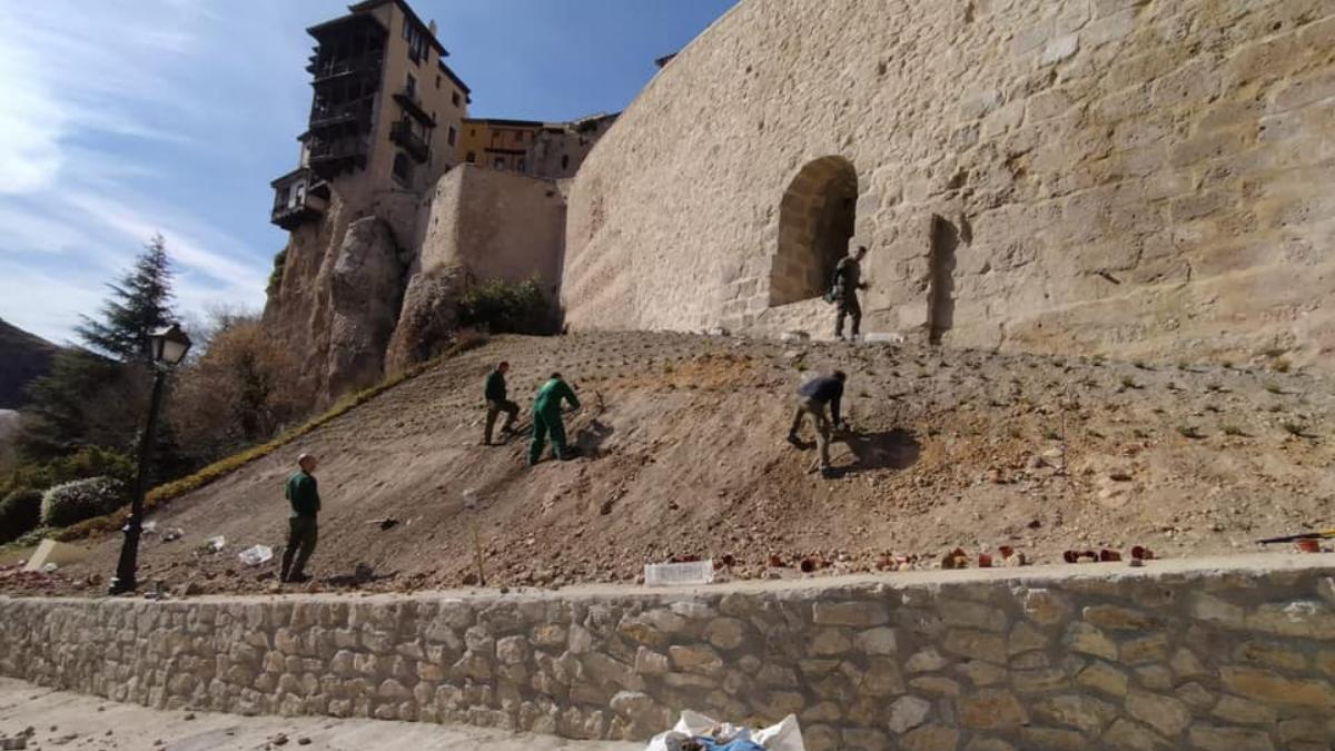 Comienzan los trabajos para reponer la vegetación de la ladera de la calle Canónigos de Cuenca