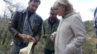 La subdelegada del Gobierno de España en la provincia de Guadalajara, Mercedes Gómez, ha visitado la excavación arqueológica del campo de prisioneros de la Casa del Guarda, en Jadraque