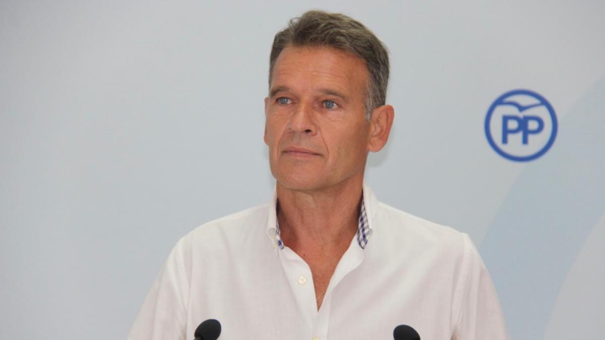 El viceportavoz, José López Gamarra
