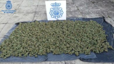 Han sido detenidas dos personas y se han intervenido 15 kilos de cogollos de marihuana, que tenían listos para su venta