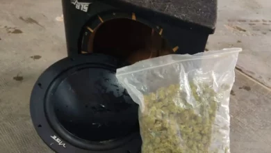 Marihuana incautada tras el control de la Guardia Civil de Albacete en Villarrobledo / Imagen: Guardia Civil