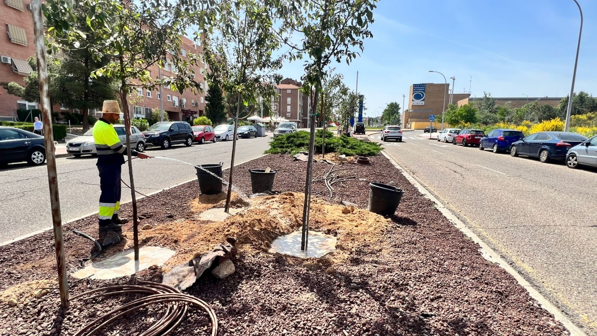 Comienzan los trabajos de mejora y ajardinamiento de la avenida Río Estenilla con la plantación de 50 árboles y 1.150 arbustos / Ayto. Toledo