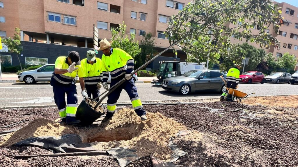 Comienzan los trabajos de mejora y ajardinamiento de la avenida Río Estenilla con la plantación de 50 árboles y 1.150 arbustos / Ayto. Toledo