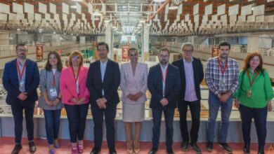 Ultiman los preparativos del FENAVIN con mayor apoyo institucional y más vanguardista de sus más de 20 años de historia / Diputación Ciudad Real