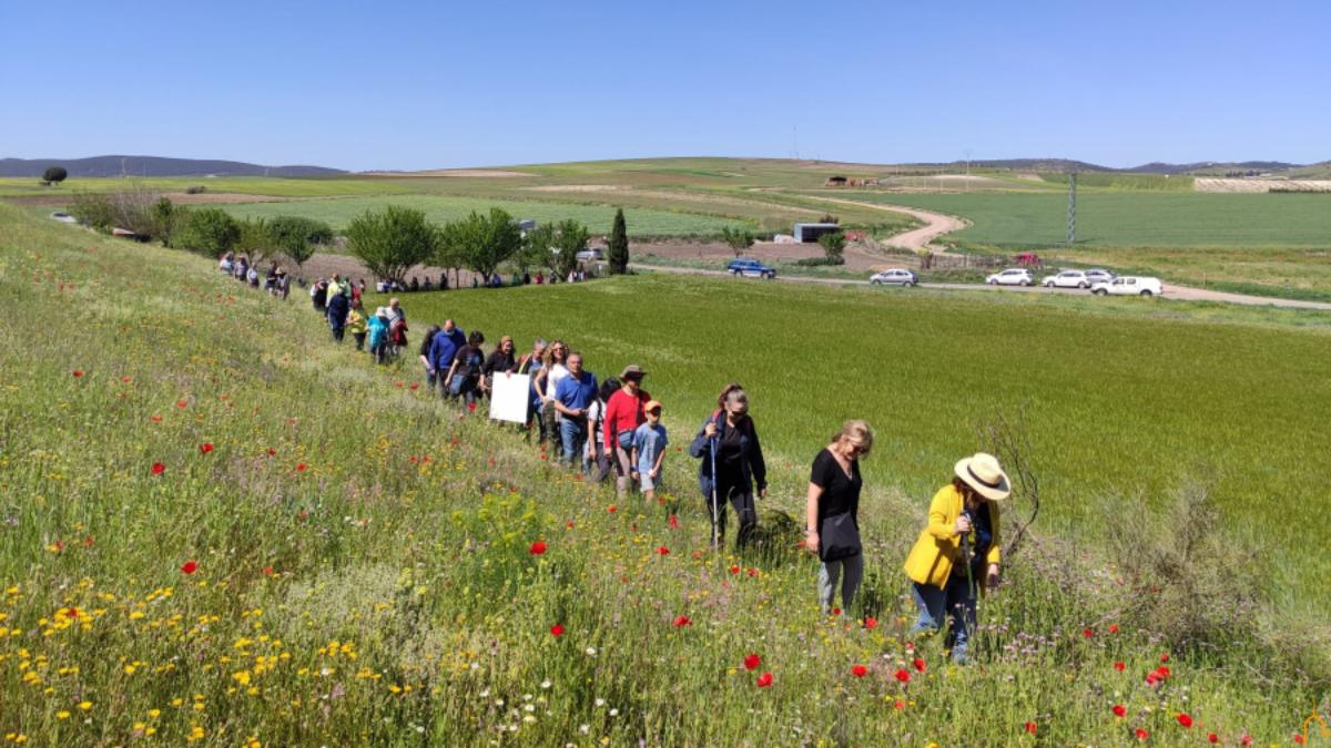 El Geolodía en la provincia de Ciudad Real descubre el cementerio de los elefantes de Las Higueruelas / Foto: Diputación Ciudad Real