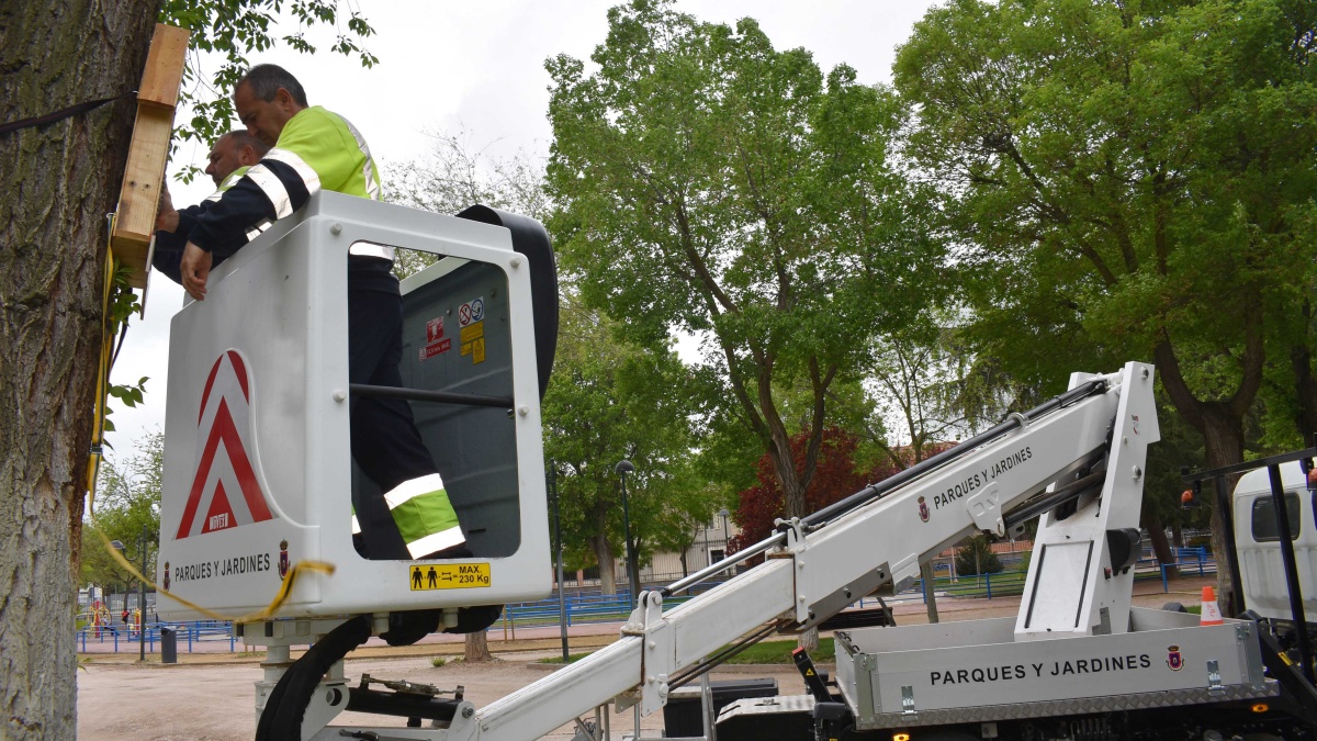 El primer hotel de insectos "beneficiosos para los parques" llega a Ciudad Real / Imagen: Ayuntamiento Ciudad Real