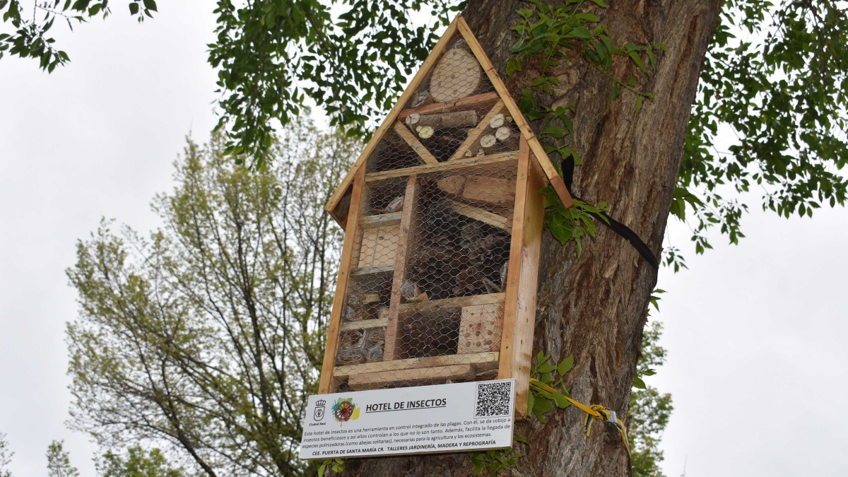 El primer hotel de insectos "beneficiosos para los parques" llega a Ciudad Real / Imagen: Ayuntamiento Ciudad Real
