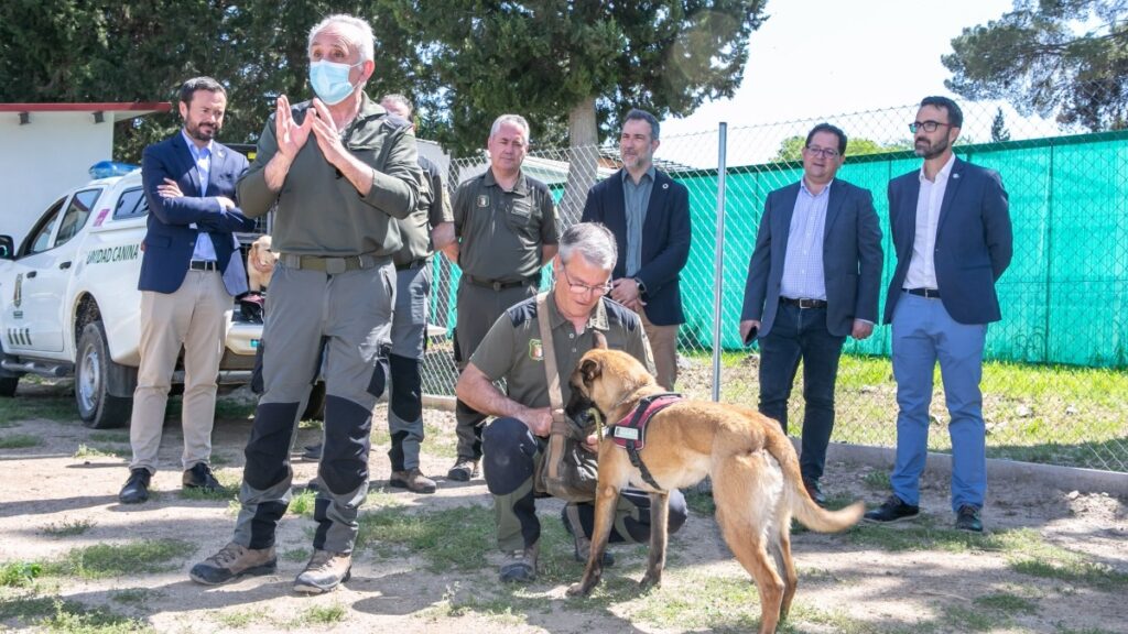 Nueva unidad canina de detección de venenos en Toledo del Cuerpo de Agentes Medioambientales / JCCM 