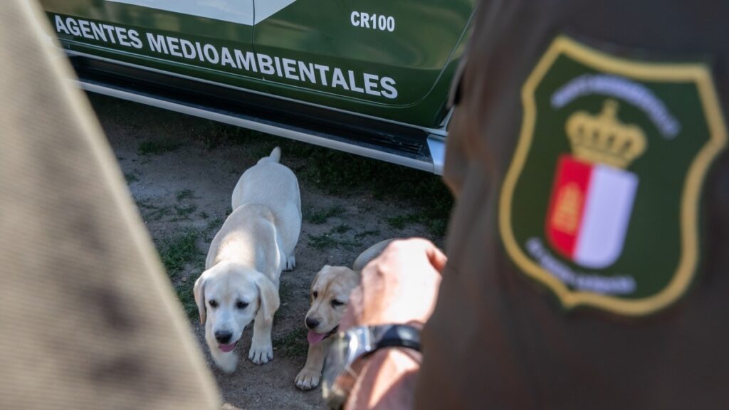 Nueva unidad canina de detección de venenos en Toledo del Cuerpo de Agentes Medioambientales / JCCM 
