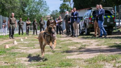 Nueva unidad canina de detección de venenos en Toledo del Cuerpo de Agentes Medioambientales / JCCM