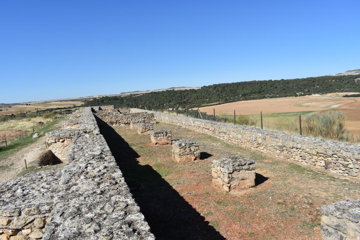 Recópolis, Complejo Palacial, edificio septentrional -siglos VI-VIII / Foto Área de Arqueología, Universidad de Alcalá