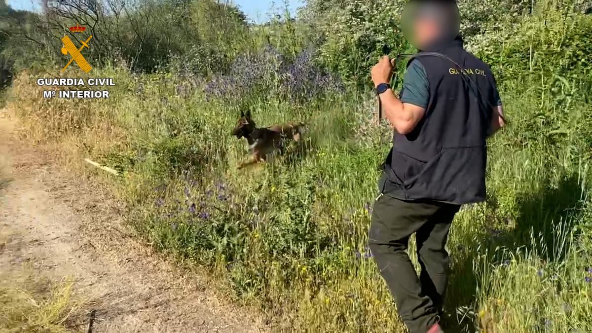 La Guardia Civil no cesa en la búsqueda de Roberto García en Casarrubios del Monte