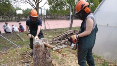 Grado Superior de Técnico en gestión forestal y medio natural / JCCM