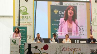 La consejera de Igualdad y portavoz, Blanca Fernández / JCCM