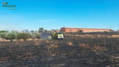 Incendio agrícola Portillo de Toledo / Foto: INFOCAM