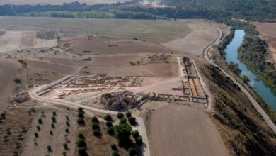 Recópolis y territorio / Foto Área de Arqueología, Universidad de Alcalá
