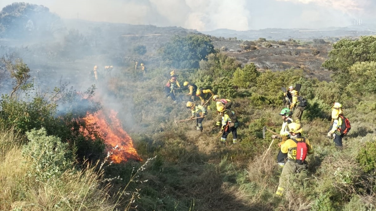 Incendio forestal en Castilla-La Mancha / JCCM