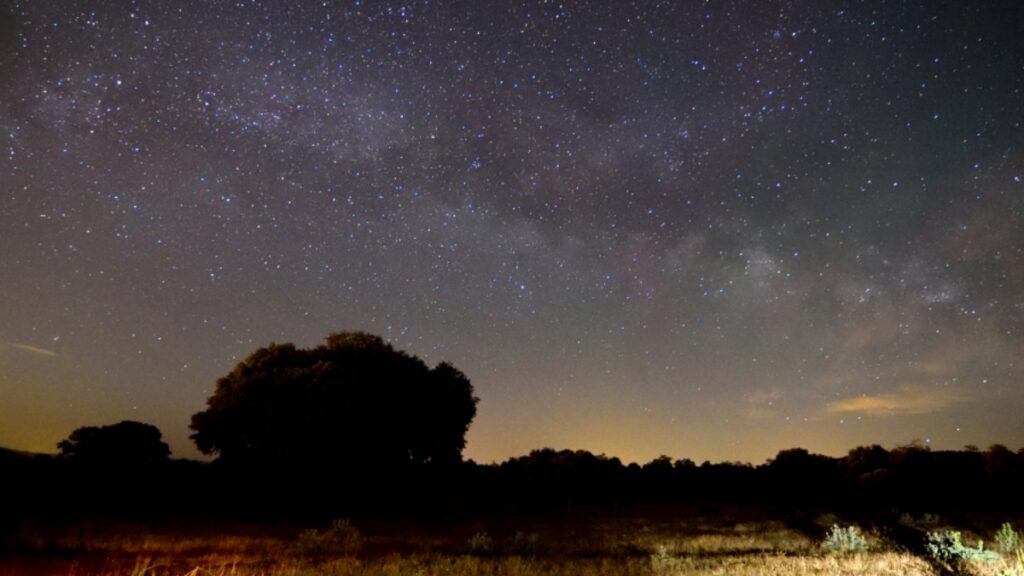 Veladas nocturnas en Ciudad Real / Diputación Ciudad Real
